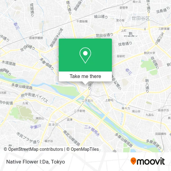Native Flower I:Da map