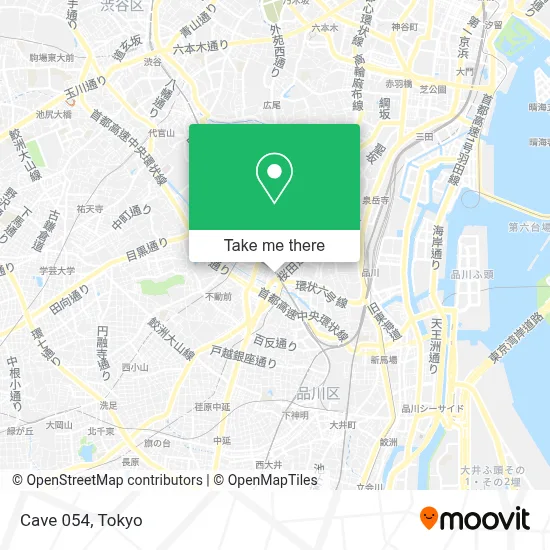 Cave 054 map