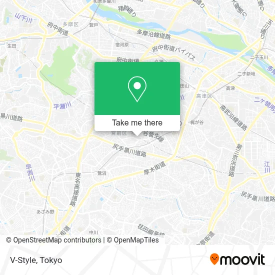 V-Style map