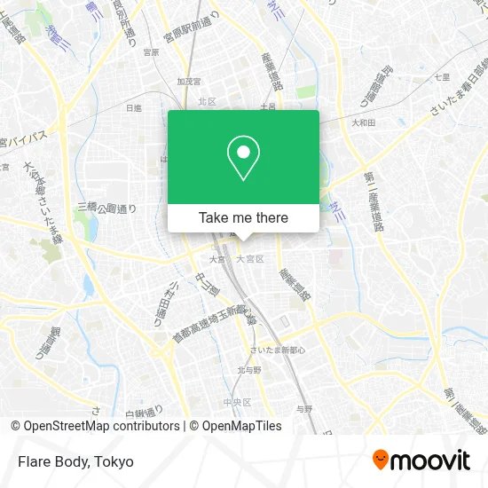 Flare Body map