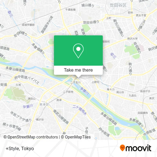 +Style map