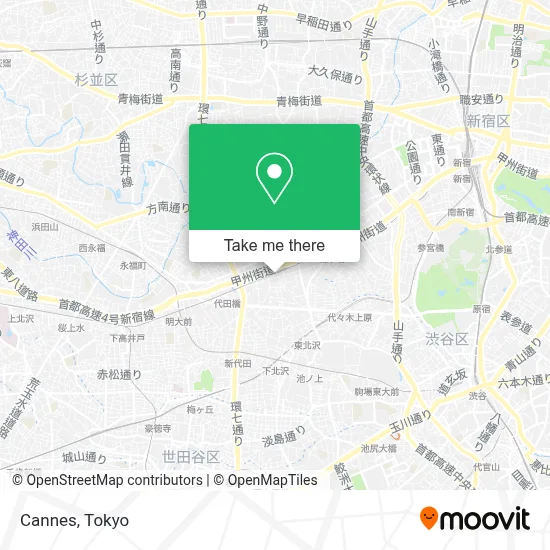 Cannes map
