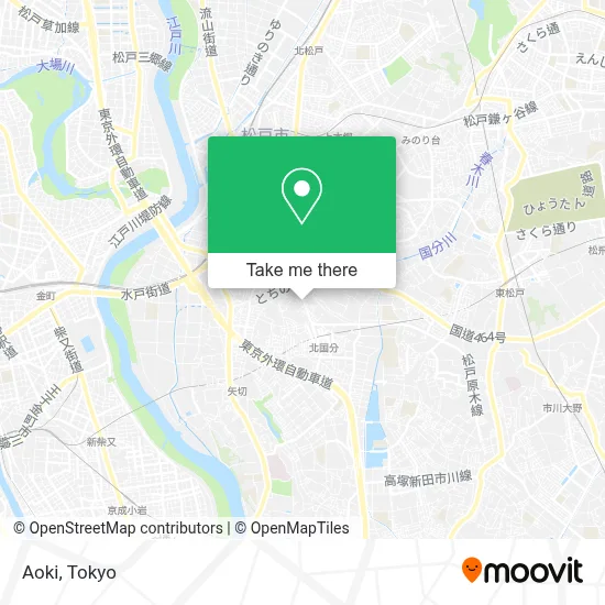 Aoki map