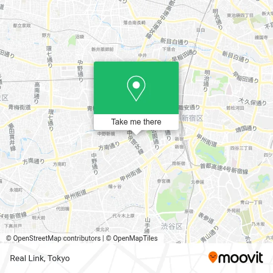 Real Link map