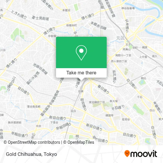 Gold Chihuahua map