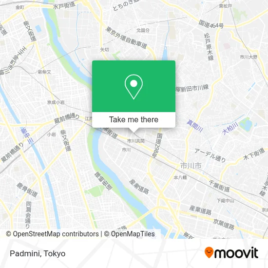 Padmini map