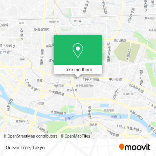 Ocean Tree map