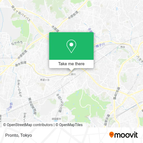 Pronto map