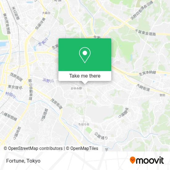 Fortune map