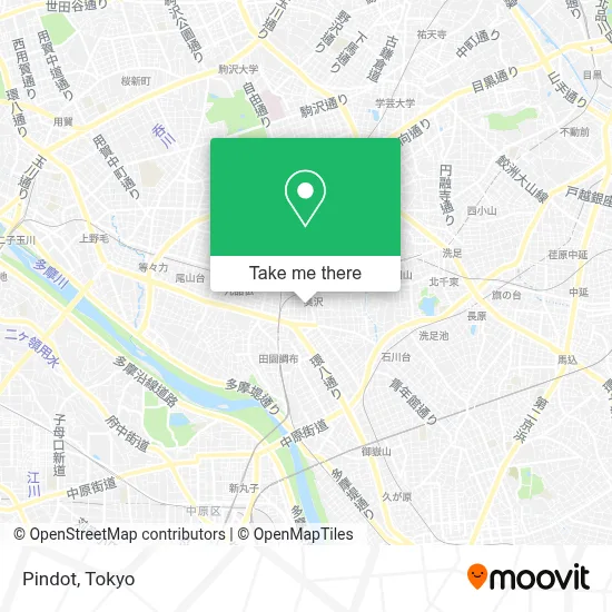 Pindot map