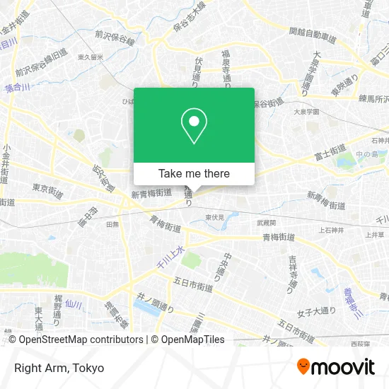 Right Arm map
