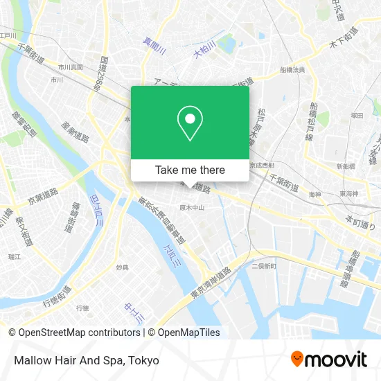 Mallow Hair And Spa map