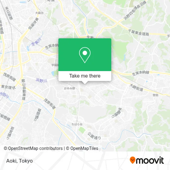 Aoki map