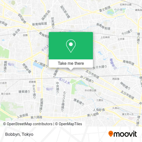 Bobbyn map