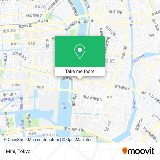 Mini map