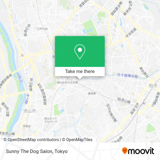Sunny The Dog Salon map