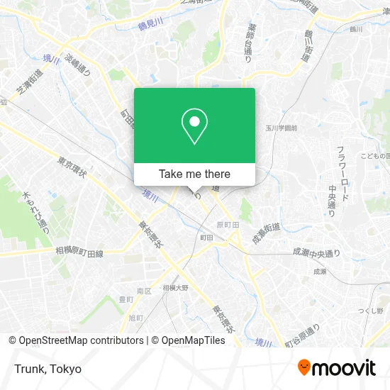 Trunk map