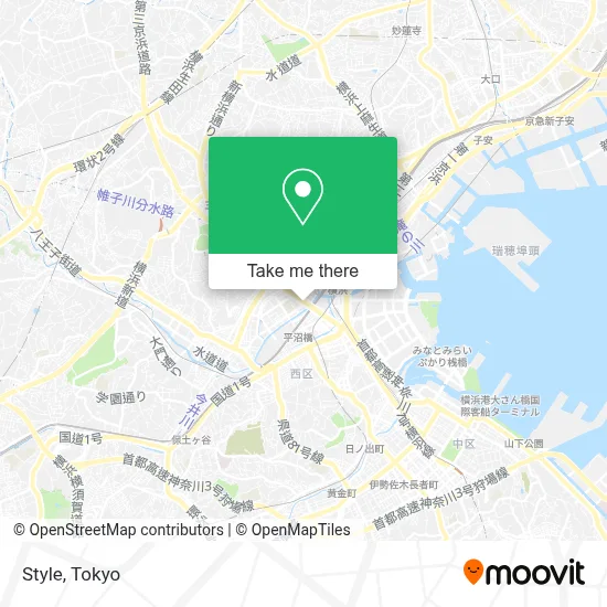 Style map