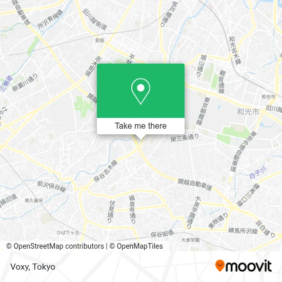 Voxy map