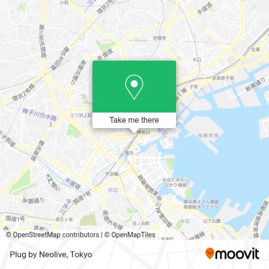 Plug by Neolive map