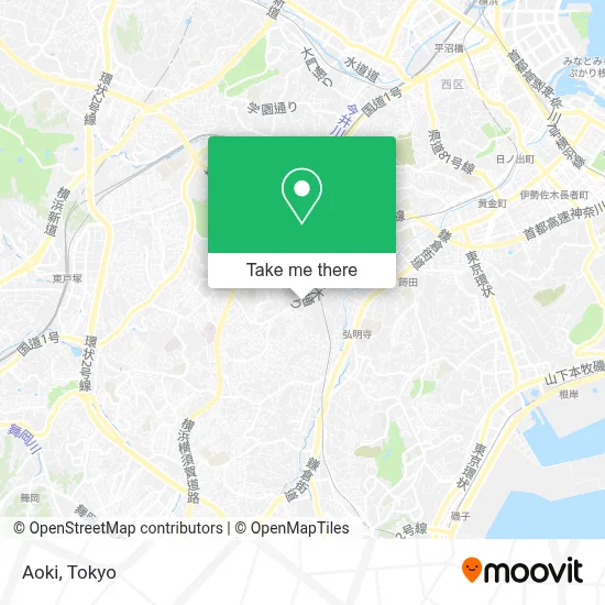 Aoki map