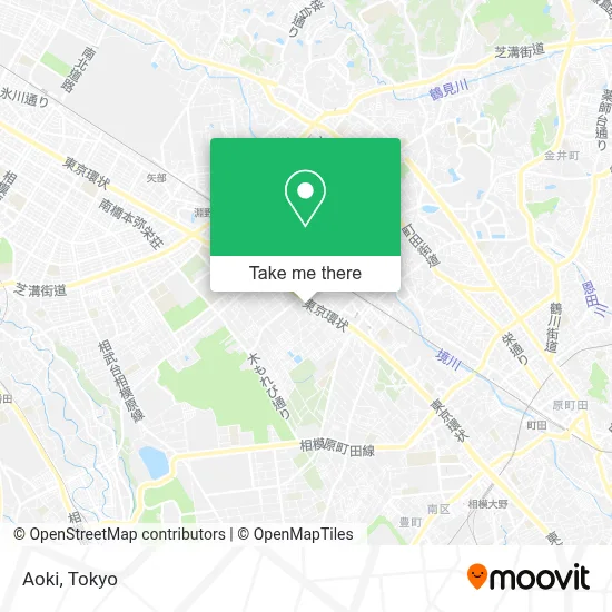 Aoki map
