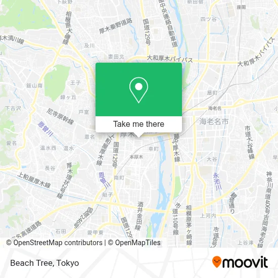 Beach Tree map