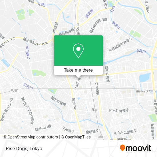 Rise Dogs map