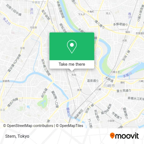 Stem map