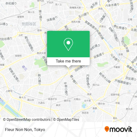 Fleur Non Non map