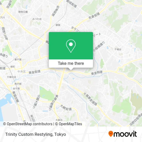 Trinity Custom Restyling map