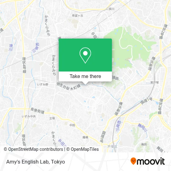 Amy's English Lab map