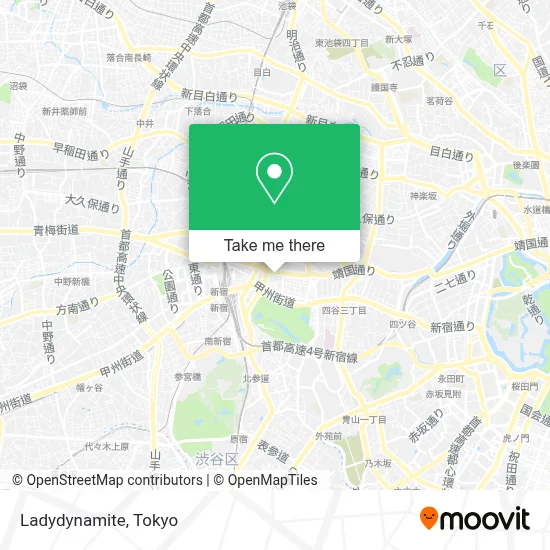 Ladydynamite map