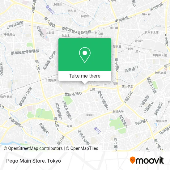 Pego Main Store map