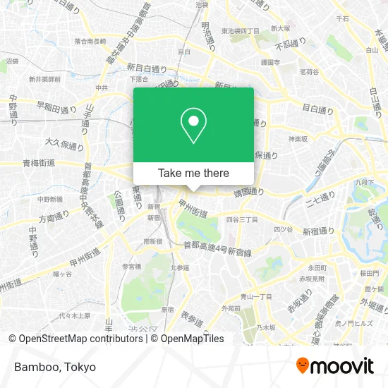 Bamboo map