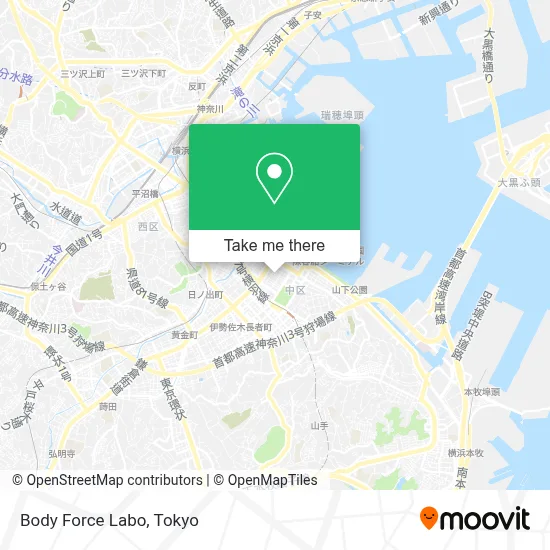 Body Force Labo map