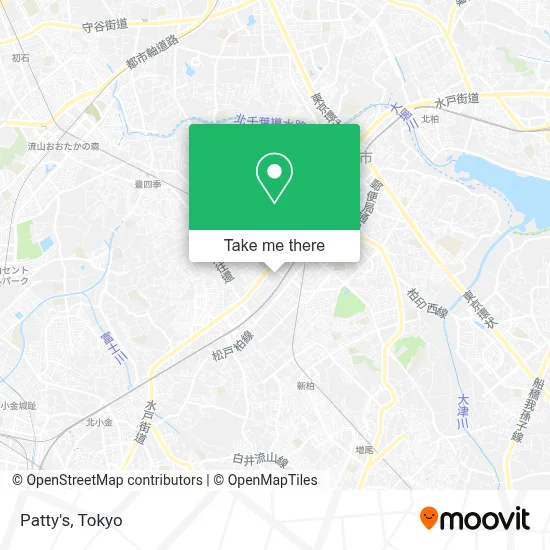 Patty's map