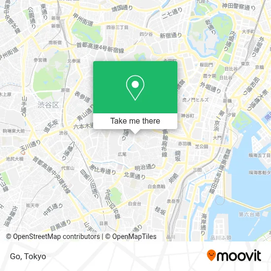 Go map