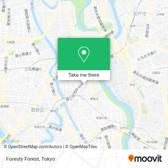 Foresty Forest map