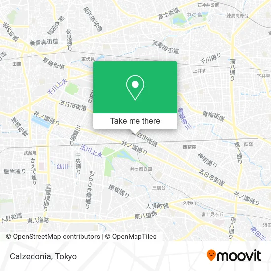 Calzedonia map