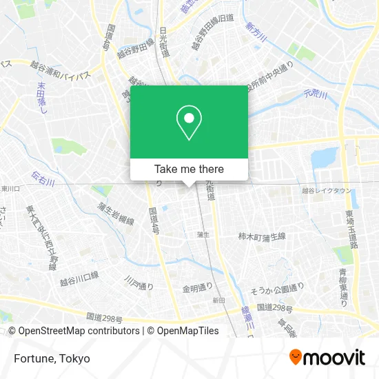 Fortune map