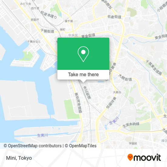 Mini map