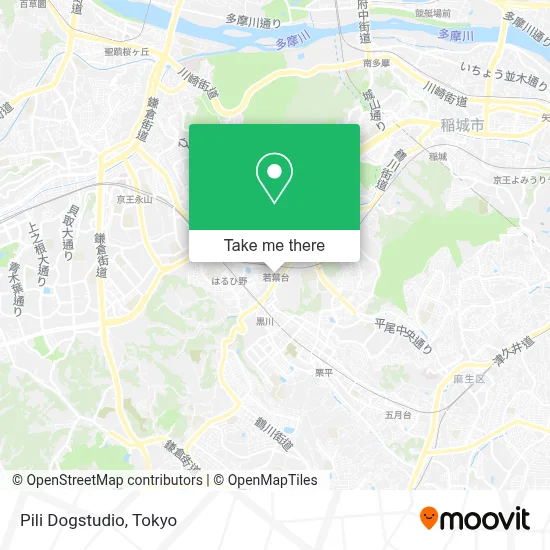Pili Dogstudio map