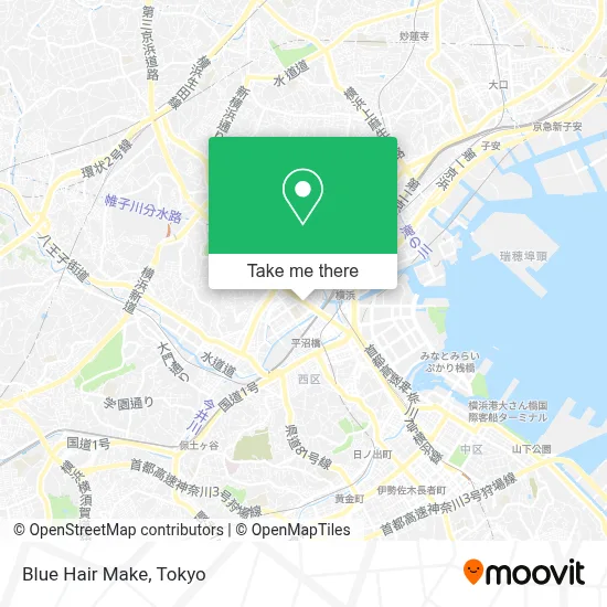 Blue Hair Make map