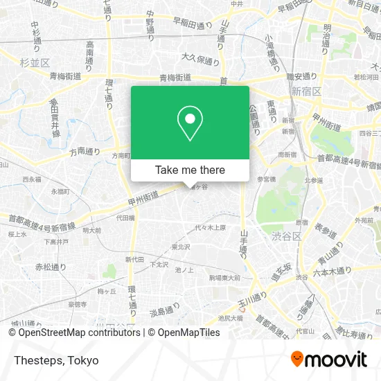 Thesteps map