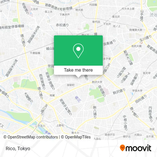 Rico map