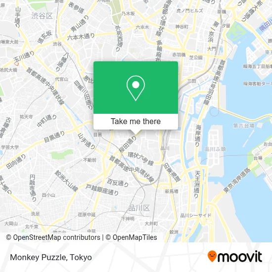 Monkey Puzzle map