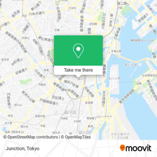 Junction map