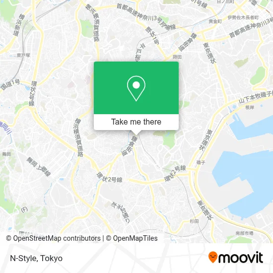 N-Style map