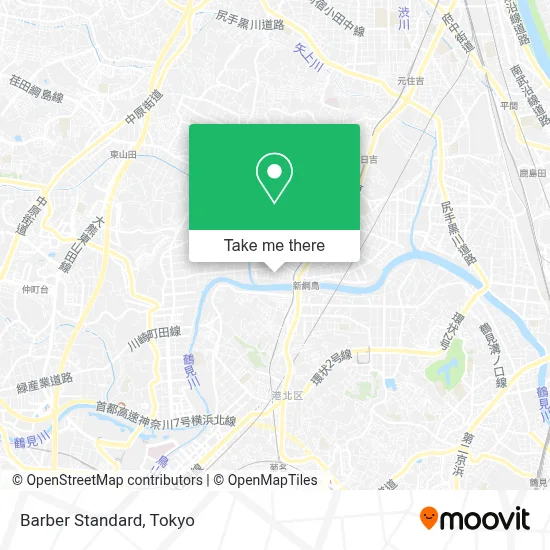 Barber Standard map